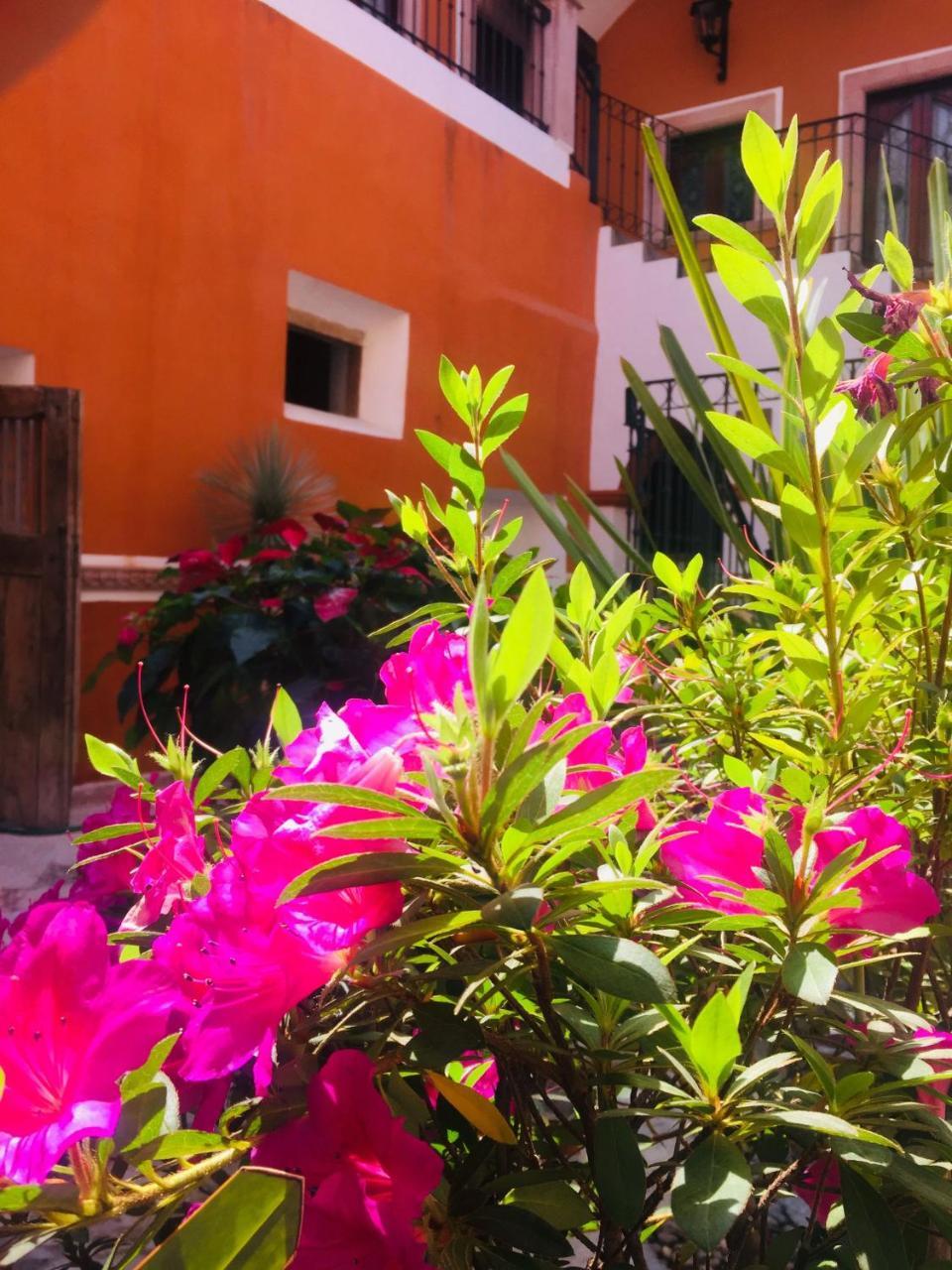 Casa Pozo Del Rayo Hotel Boutique Dolores Hidalgo Bagian luar foto